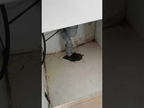 מעקף חיצוני לצנרת מטבח